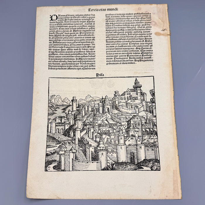 Michael Wohlgemuth - "Pisa" - xilografia su carta - 1493