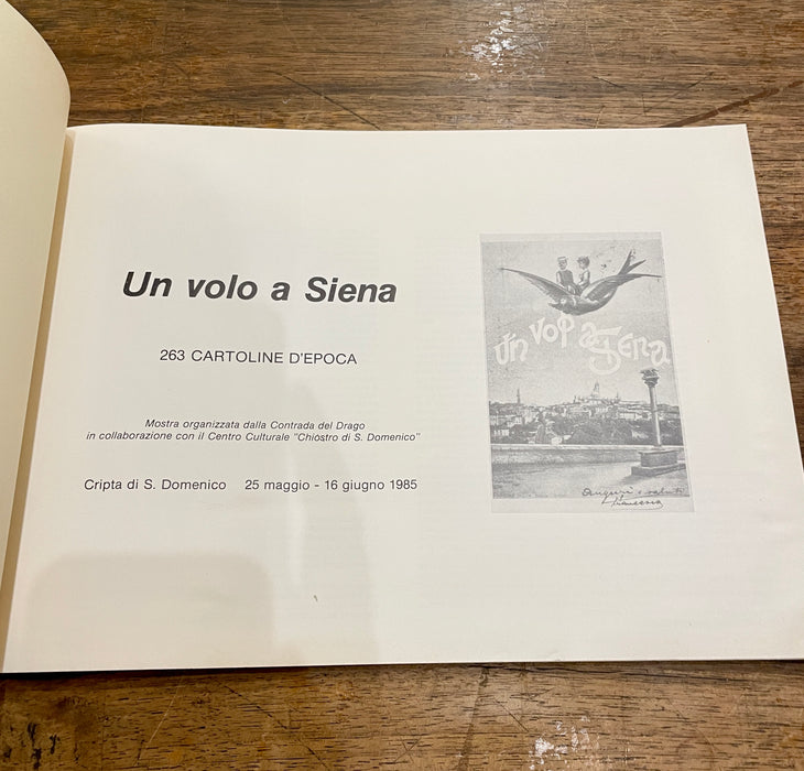 Libro "Un volo a Siena 250 cartoline d'epoca"  1985