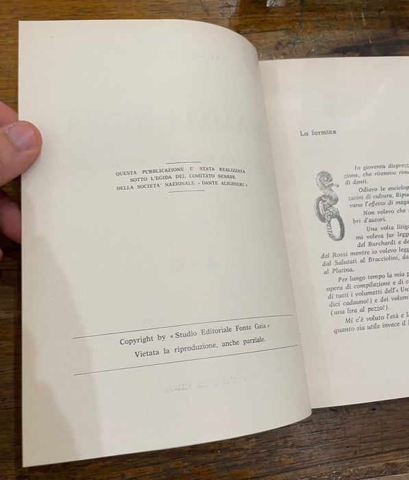 Libri collana "Mamma Siena. Dizionario biografico aneddotico dei senesi 6vol." Ubaldo Cagliaritano 1971