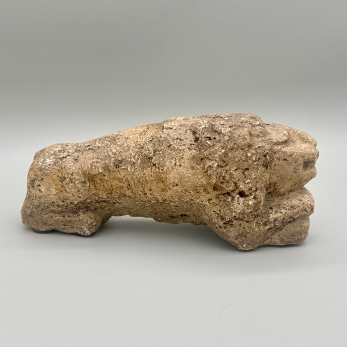 Coppia Leoni sculture antiche in travertino dipinti Siena XIII sec