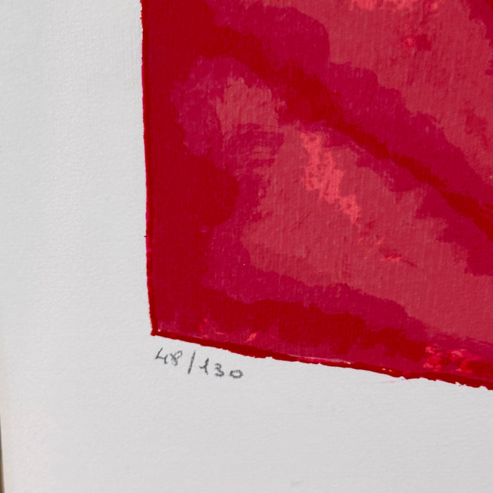 Luca Alinari - "Senza titolo" - serigrafia su carta 48/130 - 1990 ca