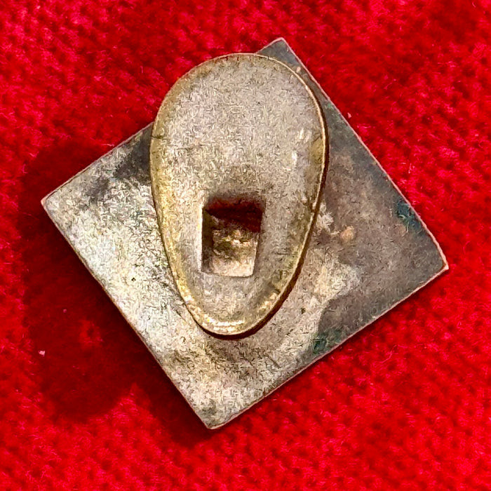 Distintivo AVIS Associazione Nazionale Volontari del Sangue smaltato 1950 ca