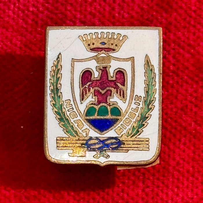 Distintivo Gruppo d'Azione Nizzarda fascista smaltato 1930 ca
