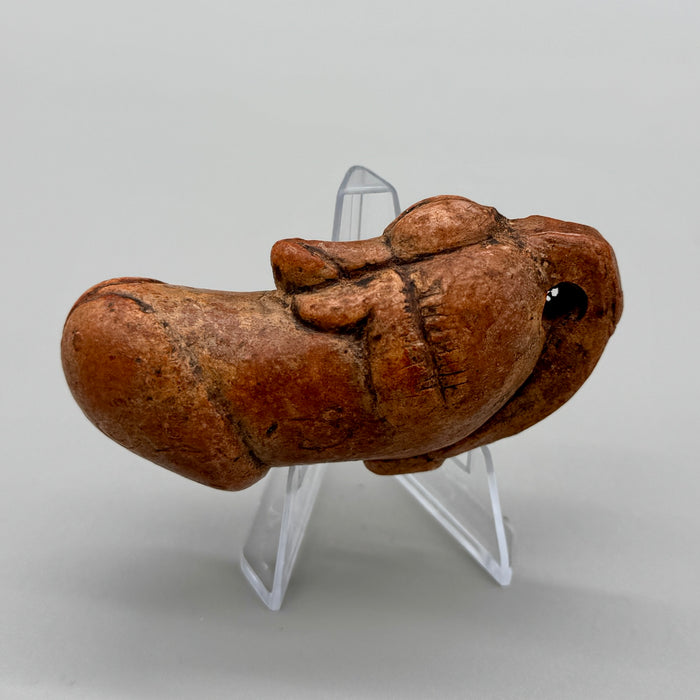 Palad Khik amuleto in terracotta fertilità maschile Thai inizio XX sec.
