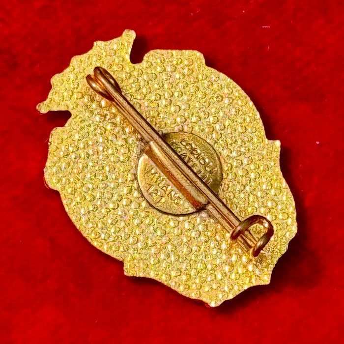 Distintivo NLD Lourdes smaltato Milano 1950 ca