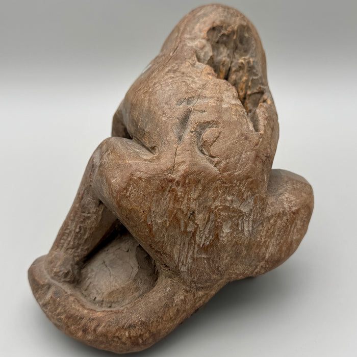 Scultura scimmia in legno teak Asia Indonesia XX sec.