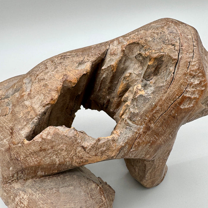 Scultura scimmia in legno teak Asia Indonesia XX sec.