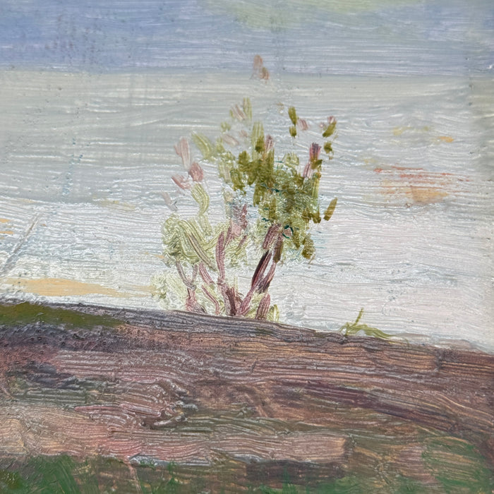 Cafiero Filippelli – “Tramonto sul mare (attr.)" – olio su tavola - 1963