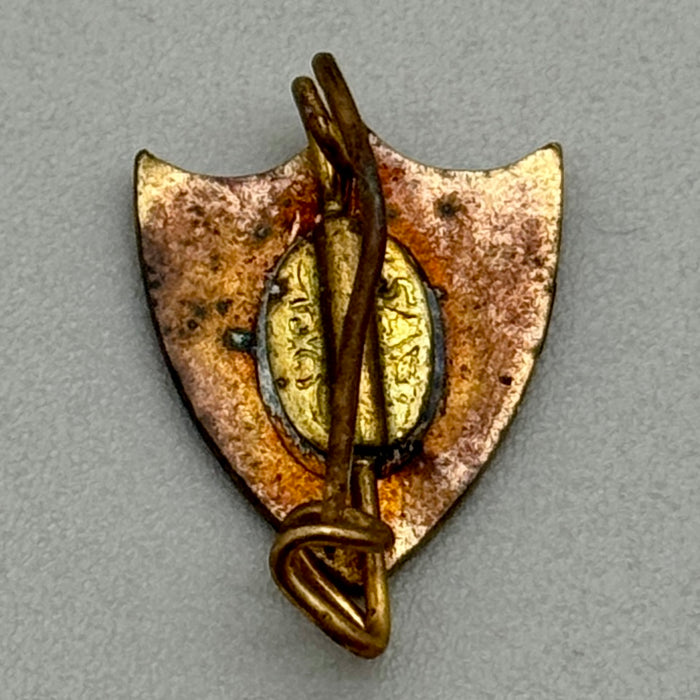 Distintivo spilla smaltato Istituto Specialità Terapeutiche Firenze 1950 ca