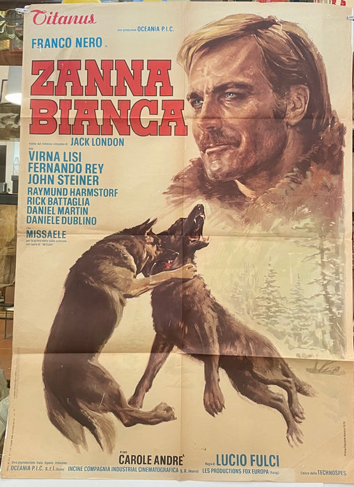 Manifesto "Zanna Bianca" cinema film 2F Titanus 1973