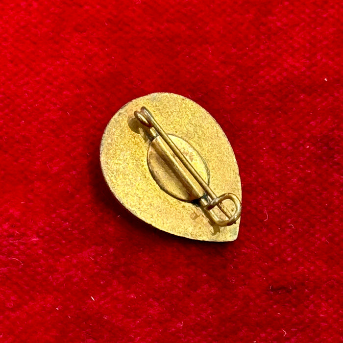 Distintivo Contrada Sovrana dell' Istrice Palio Siena ordinario smaltato 1950