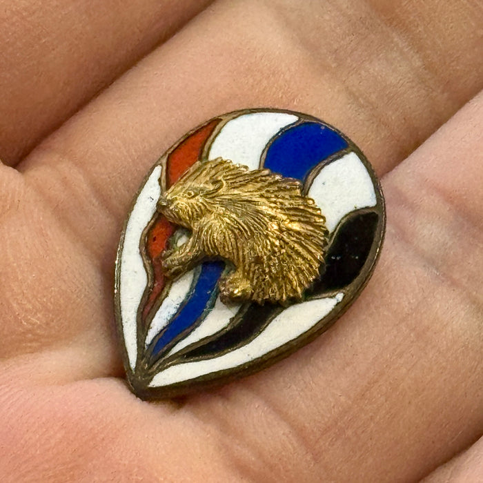 Distintivo Contrada Sovrana dell' Istrice Palio Siena ordinario smaltato 1950
