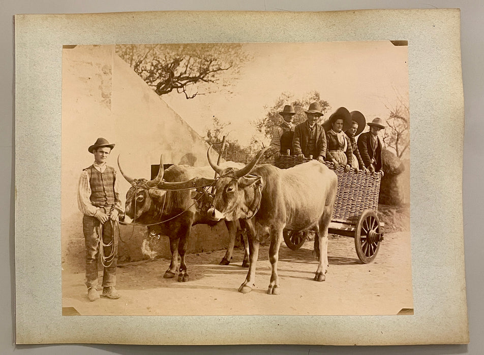 Siena costumi campagna senese foto albumina originale fine XIX sec.