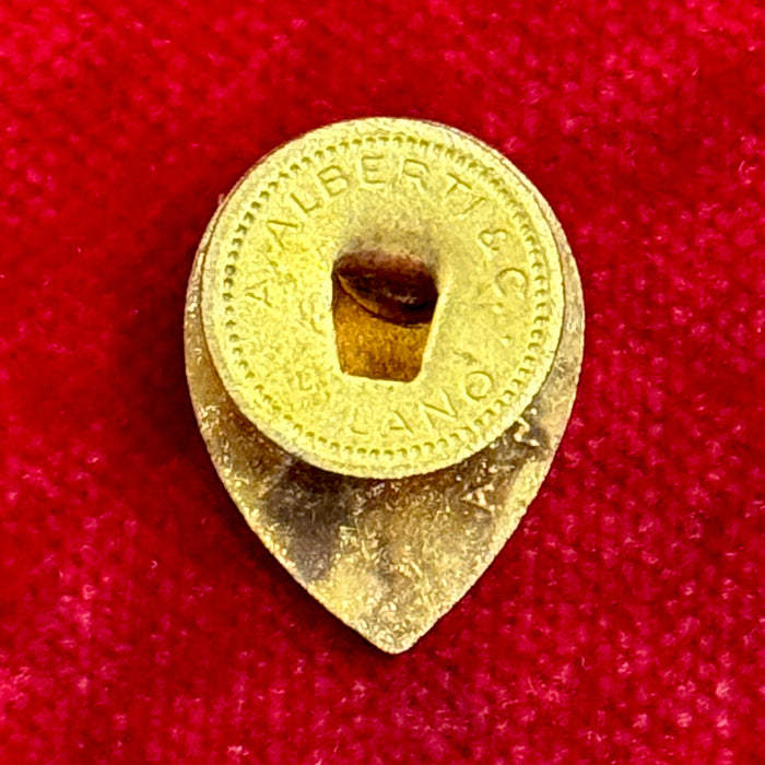 Distintivo Contrada della Tartuca Palio Siena ordinario smaltato 1960