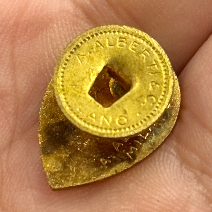 Distintivo Contrada della Tartuca Palio Siena ordinario smaltato 1960