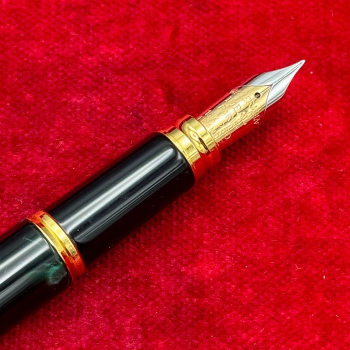 Waterman Leman 200 penna stilografica verde pennino oro 18kt 2000 ca