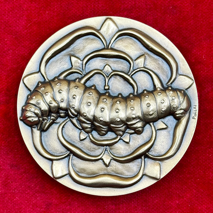 Medaglia della Nobil Contrada del Bruco bronzo 70 mm Ezio Pollai 2016