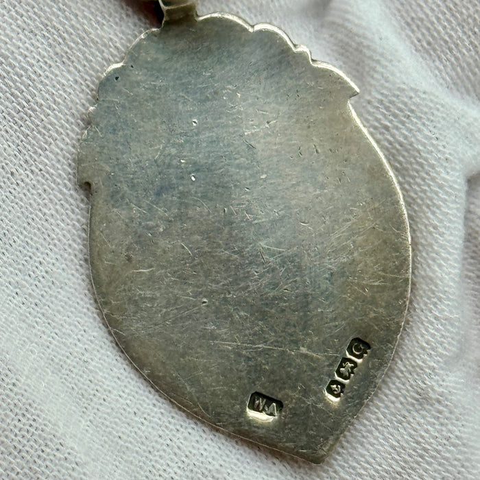 Catena orologio tasca argento con medaglia Vittoriana Regno Unito fine XIX sec.