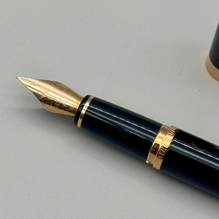 Waterman L'Etalon stilografica pennino F oro 18kt con corredo Francia 2000 ca