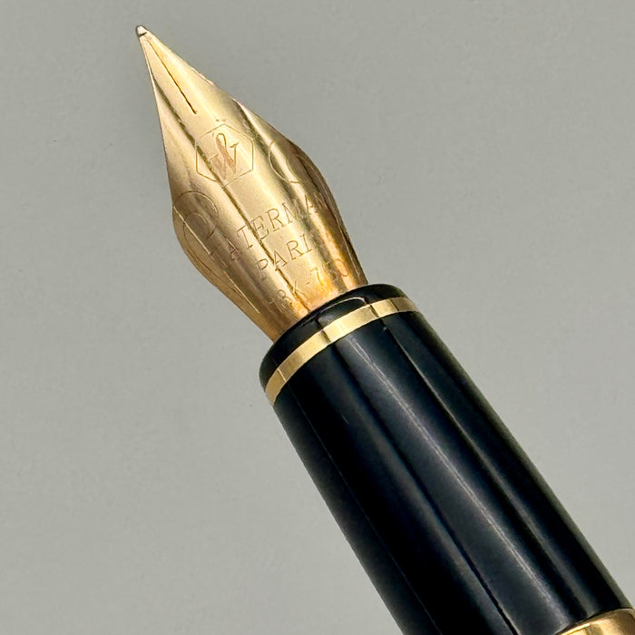 Waterman L'Etalon stilografica pennino F oro 18kt con corredo Francia 2000 ca