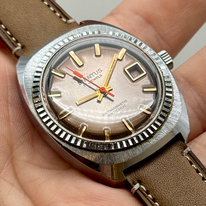 Diantus 17 jewels orologio da polso acciaio manuale quadrante brown Swiss 1970 ca