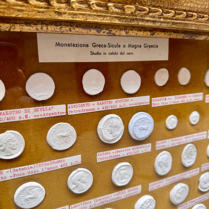 Quadro Monetazione Greca - Sicula e Magna Graecia calchi gesso dal vero 1970 ca