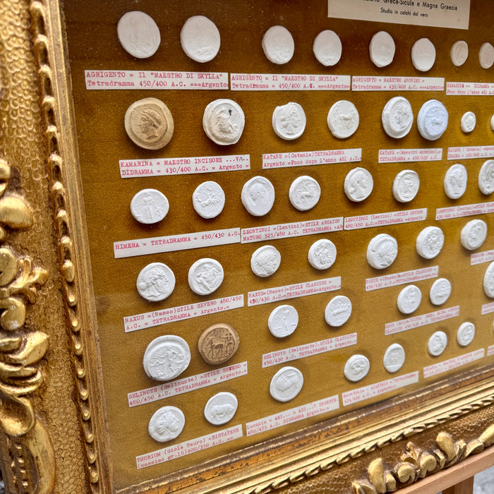 Quadro Monetazione Greca - Sicula e Magna Graecia calchi gesso dal vero 1970 ca