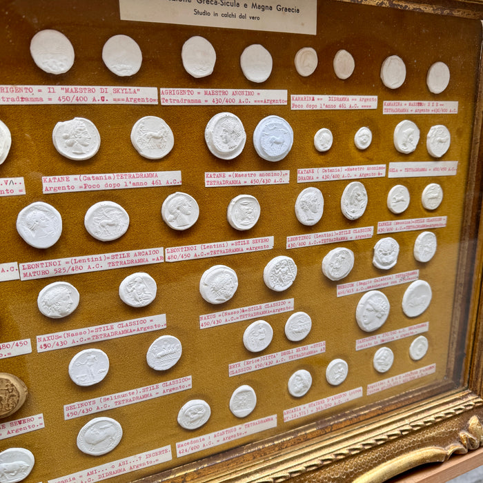 Quadro Monetazione Greca - Sicula e Magna Graecia calchi gesso dal vero 1970 ca
