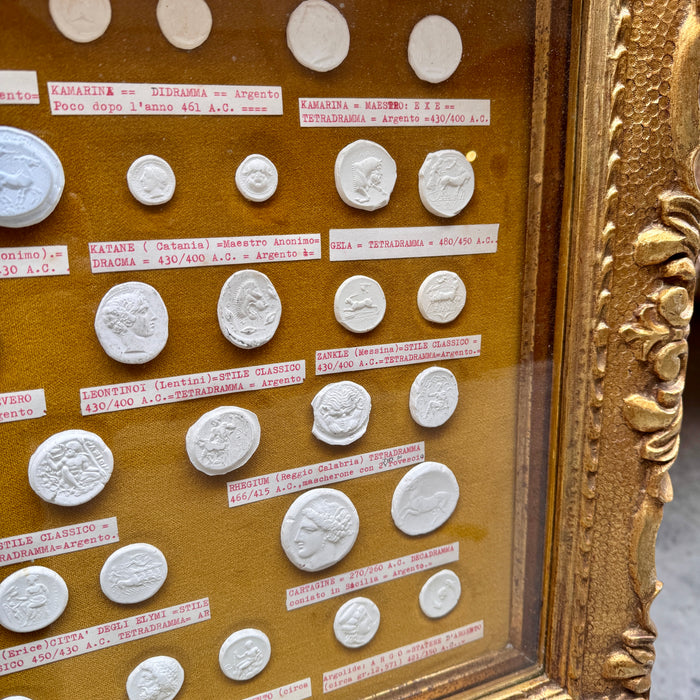 Quadro Monetazione Greca - Sicula e Magna Graecia calchi gesso dal vero 1970 ca
