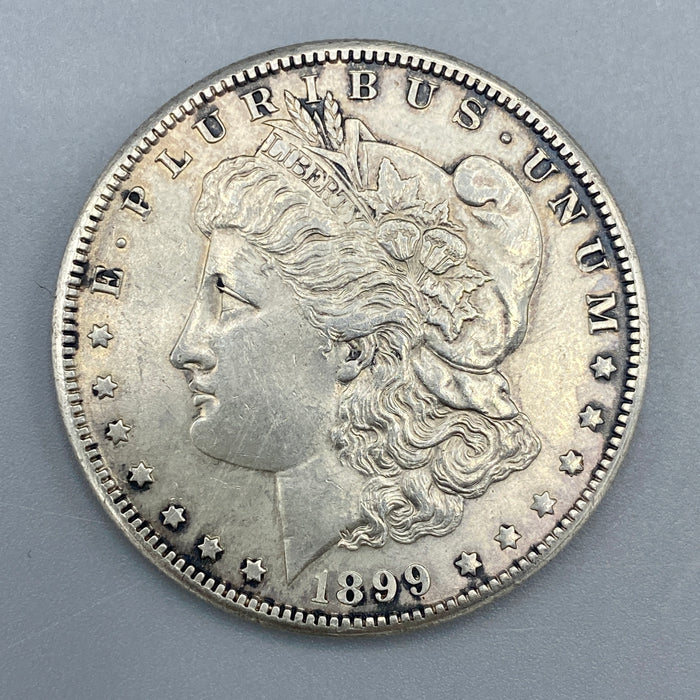 Moneta Morgan Dollaro 1$ argento .900 anno 1889